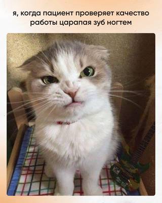 Мем